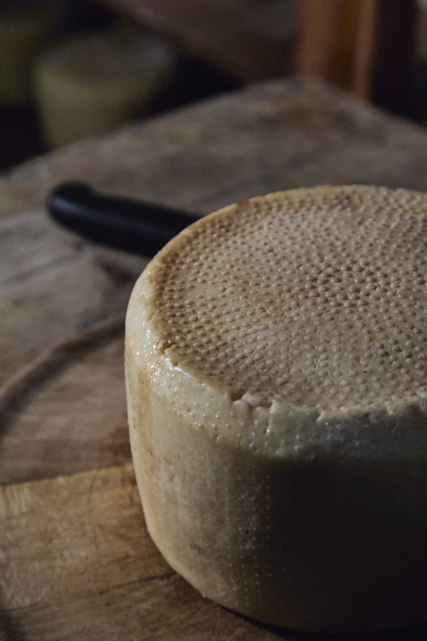 formaggio degli elimi