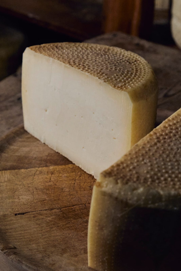 formaggio degli elimi