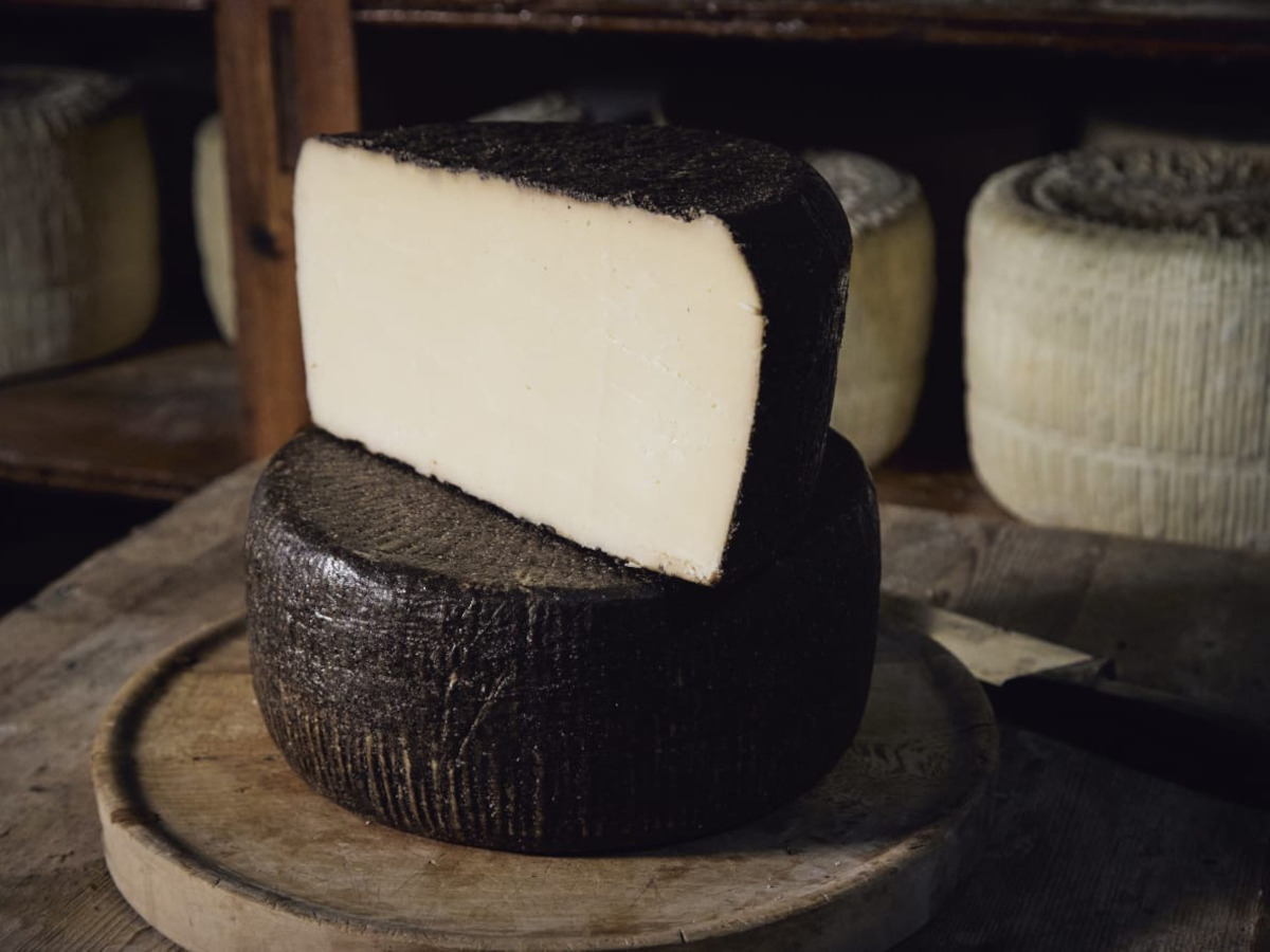 formaggio-nero-2 pecorino semistagionato