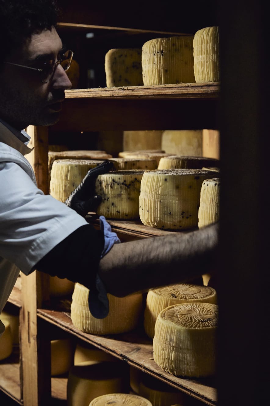 lavorazione formaggi sicilia